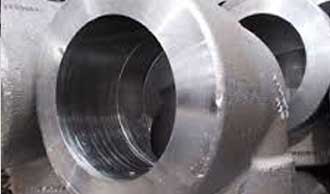Astm A105n Fittings