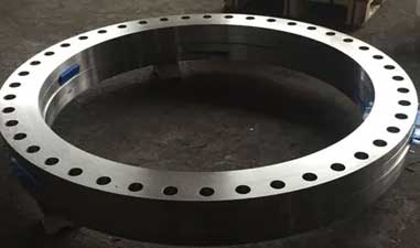 Incoloy Alloy 825 Forged Steel Flanges