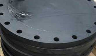 Sa105n Blind Flange