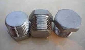 Ss Npt Plug