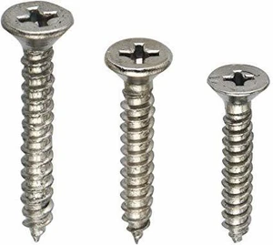 SS Flat Head Screw