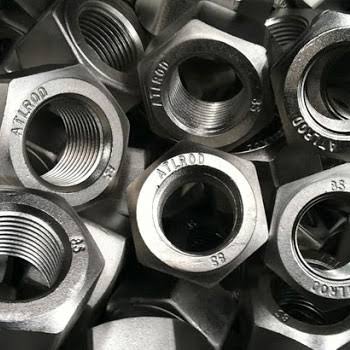 SS Hex Nut