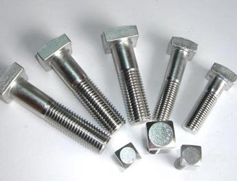 SS Square Bolt