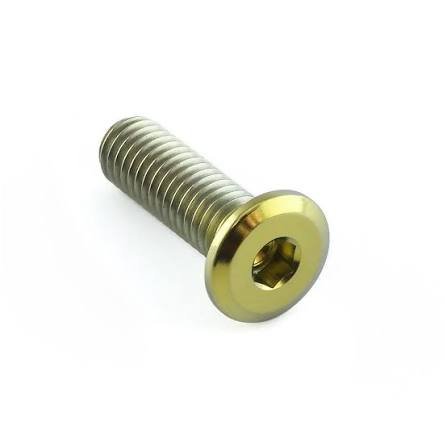 Titanium Dome Bolt