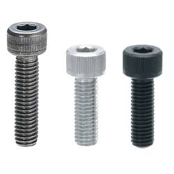 Titanium Hex Cap Screw