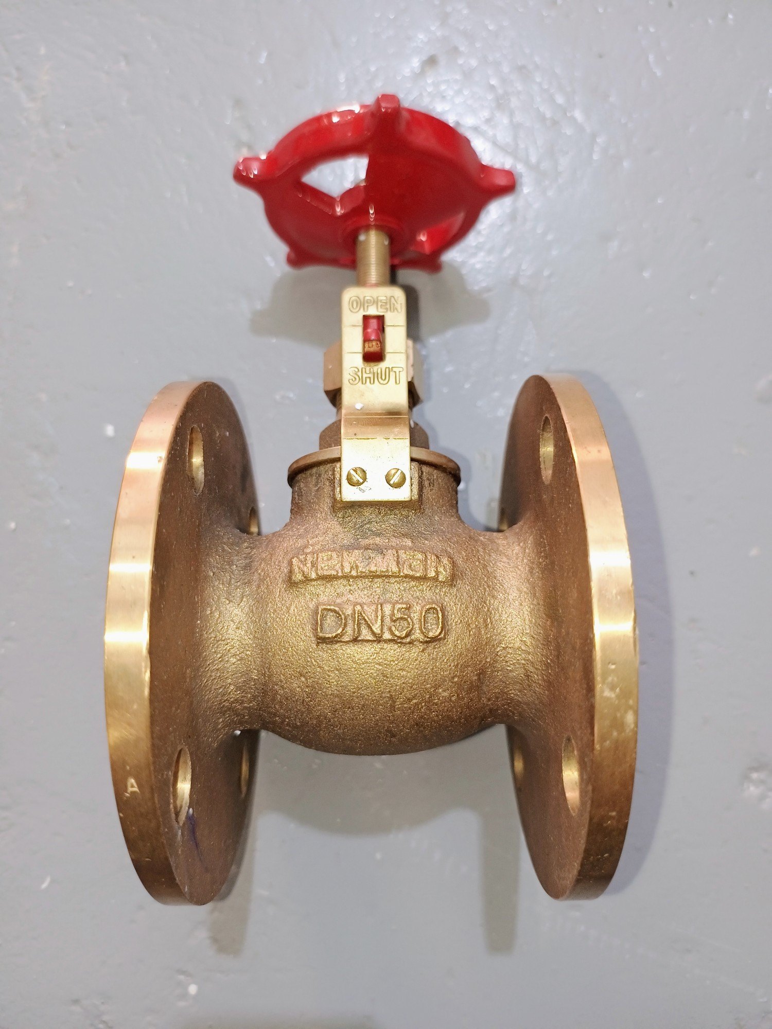 Brass Globe Valve
