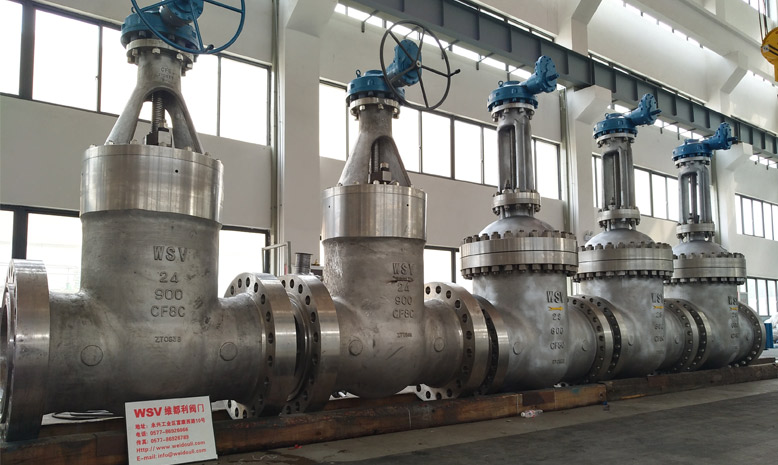 Titanium Globe Valve